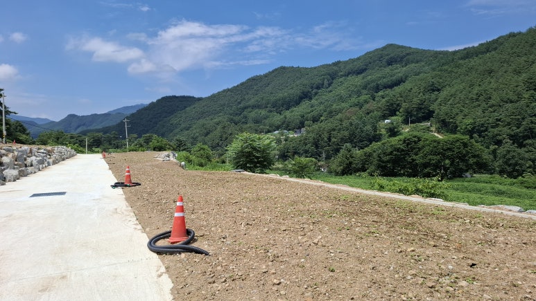 20250724_132255 20250724_132255.jpg